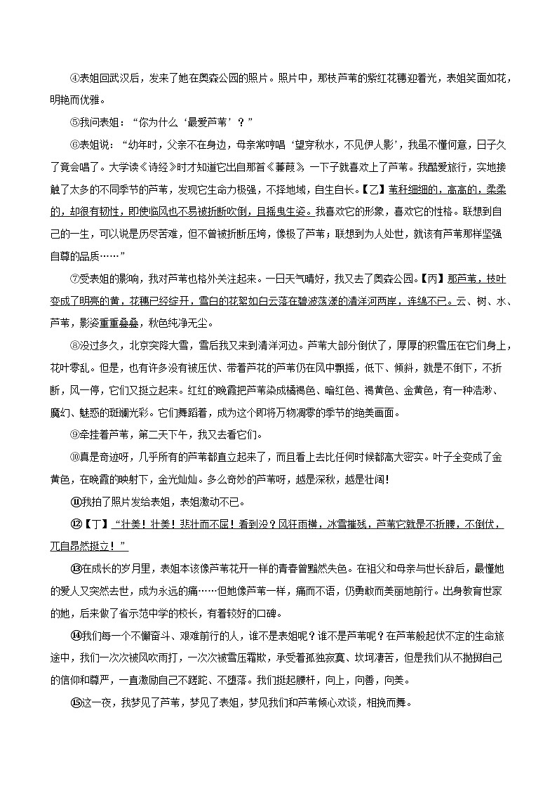 专题07 散文阅读-2022-2023学年七年级语文下学期期末备考专题复习(北京专用)03