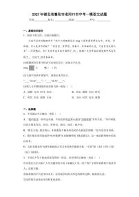2023年湖北省襄陽市老河口市中考一模語文試題