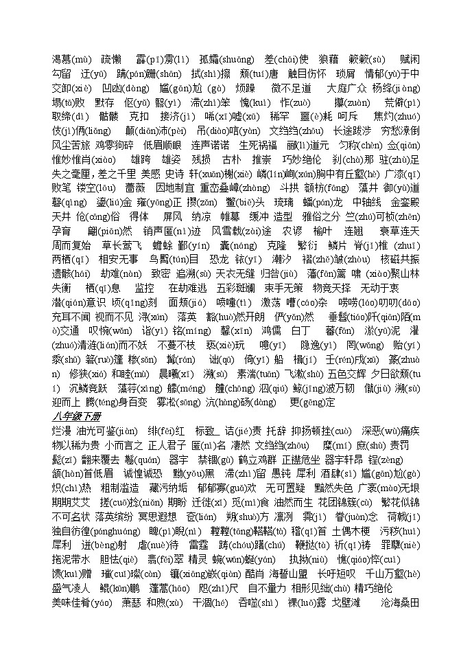 初三语文中考总复习精品知识点归纳02
