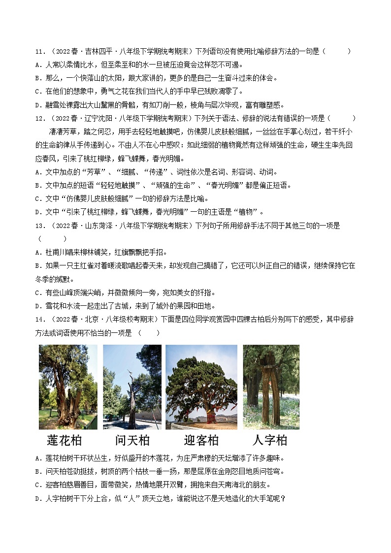 专题04:修辞、得体、语法-2022-2023学年八年级语文下学期期末考前复习专项训练(部编版)03