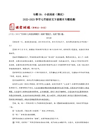 【期末考点专项】部编版语文2022-2023学年七年级下册期末：专题09 小说阅读（测试）（原卷+解析）