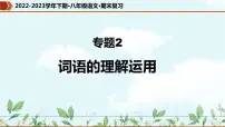 【期末专题复习】部编版语文2022-2023学年八年级下册期末：专题02 词语的理解运用（课件）