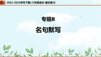 【期末专题复习】部编版语文2022-2023学年八年级下册期末：专题08  名句默写（课件）