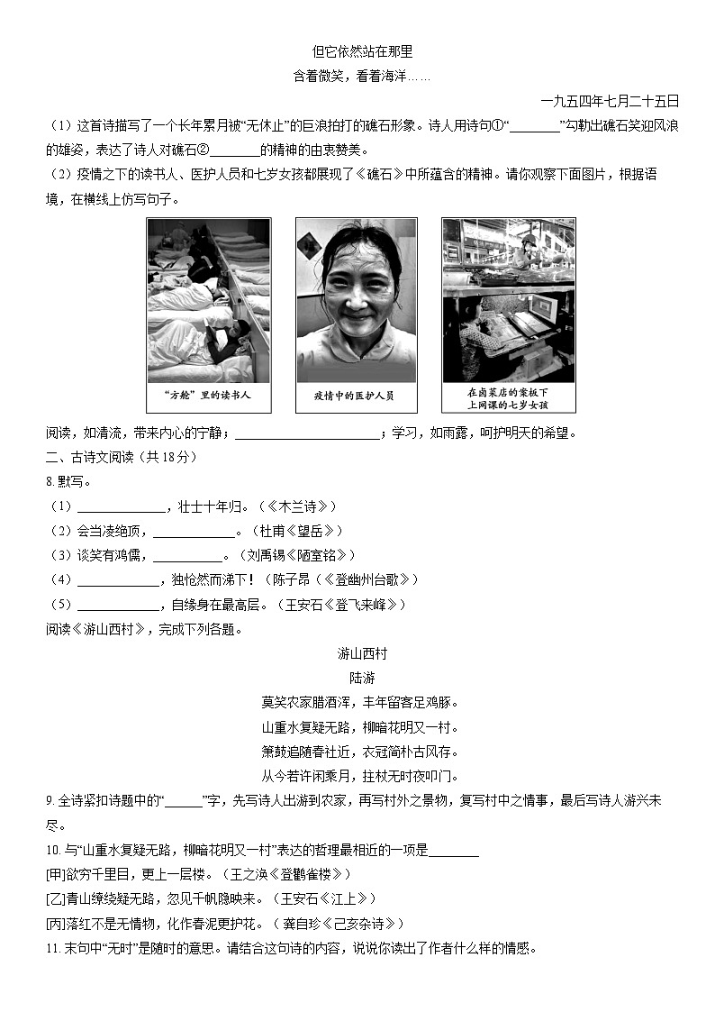 2020北京朝阳初一(下)期末语文(教师版)第3页