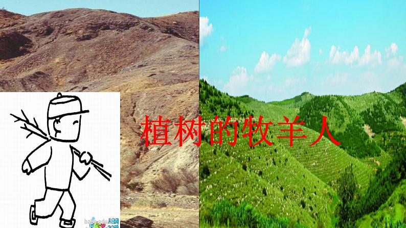 第14课《植树的牧羊人》PPT课件9-七年级语文上册统编版第1页