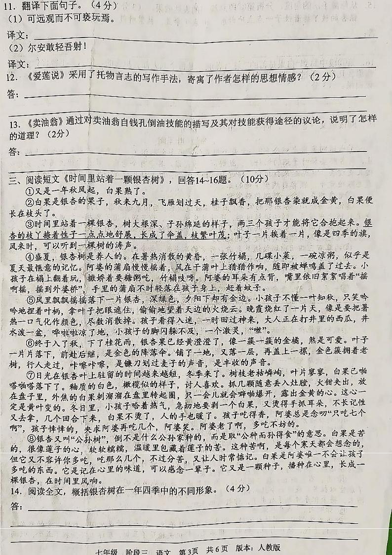 河北省邯郸市鸡泽县实验中学2022-2023学年七年级下学期6月月考语文试题03