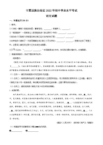 2022年宁夏中考语文真题（原卷版）