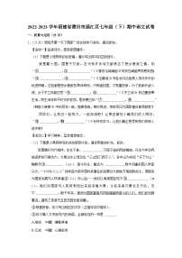 福建省莆田市涵江区2022-2023学年七年级下学期期中语文试题