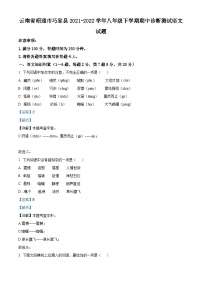 精品解析：云南省昭通市巧家县2021-2022学年八年级下学期期中语文试题（解析版）