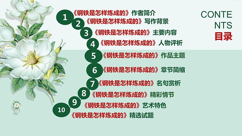 中考名著《钢铁是怎样炼成的》通关考点课件PPT第2页