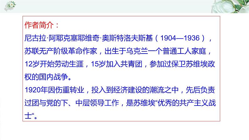 中考名著《钢铁是怎样炼成的》通关考点课件PPT第4页