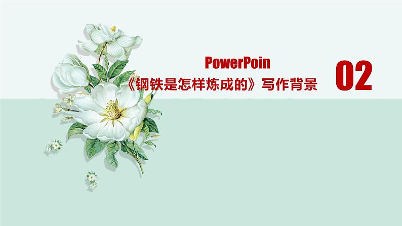 中考名著《钢铁是怎样炼成的》通关考点课件PPT第6页