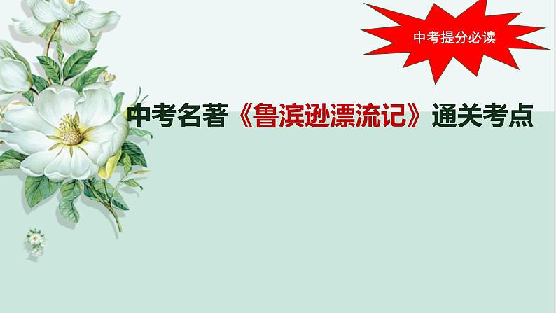 中考名著《鲁滨逊漂流记》通关考点课件PPT第1页