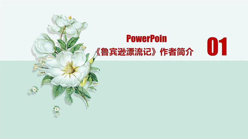 中考名著《鲁滨逊漂流记》通关考点课件PPT第3页