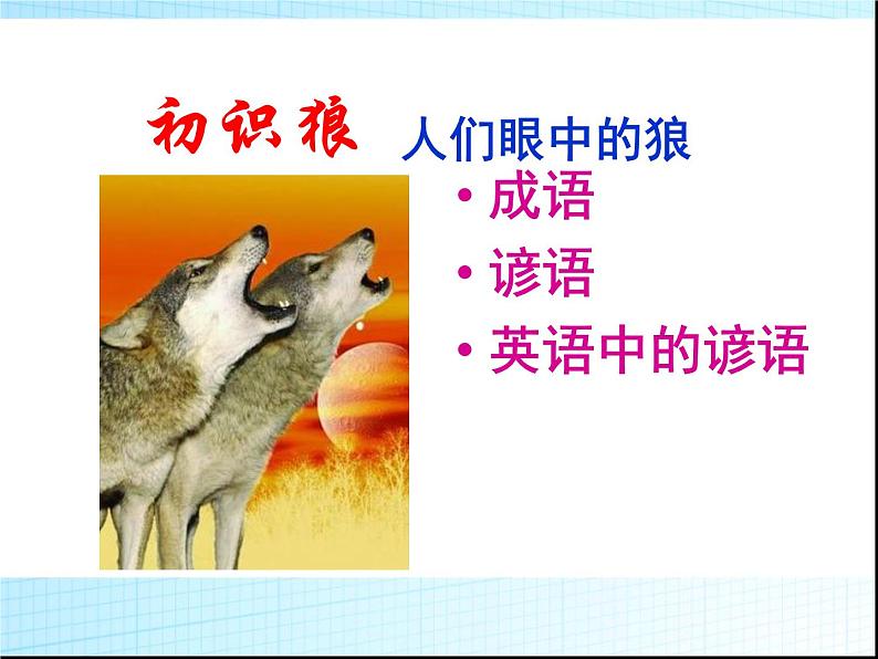 七上狼同步课件 课件02