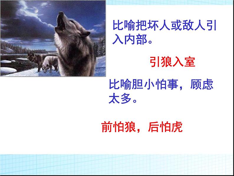 七上狼同步课件 课件03