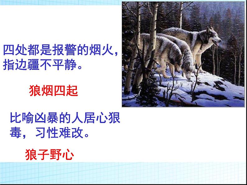 七上狼同步课件 课件05