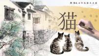 初中语文人教部编版七年级上册猫完整版ppt课件