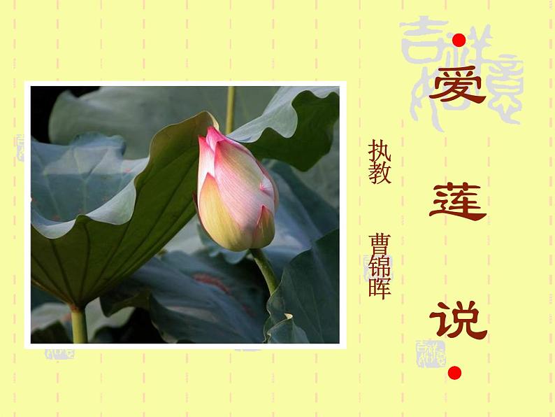 第16课《古文两篇-爱莲说》PPT课件8-七年级语文下册统编版01