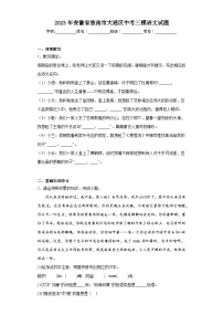 2023年安徽省淮南市大通区中考三模语文试题（含解析）