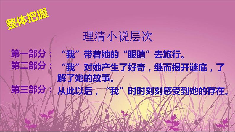 第23课《带上她的眼睛》PPT课件10-七年级语文下册统编版第8页