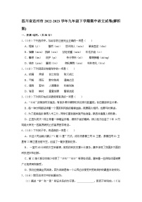 四川省达州市2022-2023学年九年级下学期期中语文试卷（含答案）