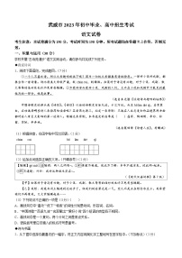 2023年甘肃省武威市中考语文真题