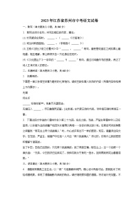 2023年江苏省苏州市中考语文试卷（含解析）
