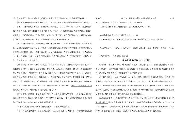 2023年吉林省大安市乐胜乡中学校中考第五次模拟测试语文试题(含答案)第3页