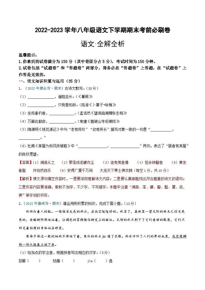 语文(安徽卷)-(全解全析)第1页