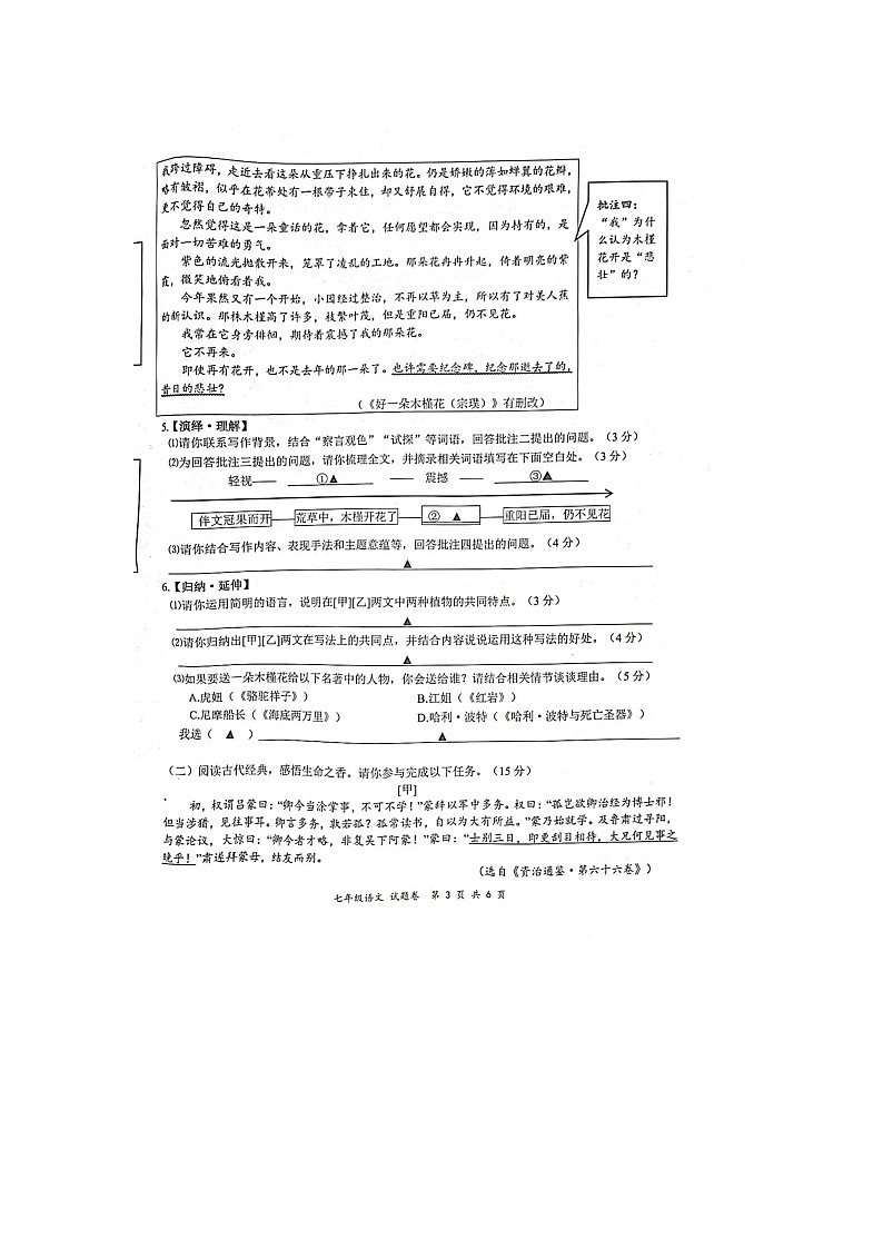 浙江省宁波市南三县2022-2023学年七年级下学期期末考试语文试题第3页