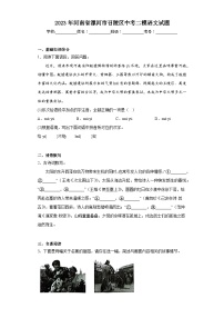 2023年河南省漯河市召陵区中考二模语文试题（含解析）
