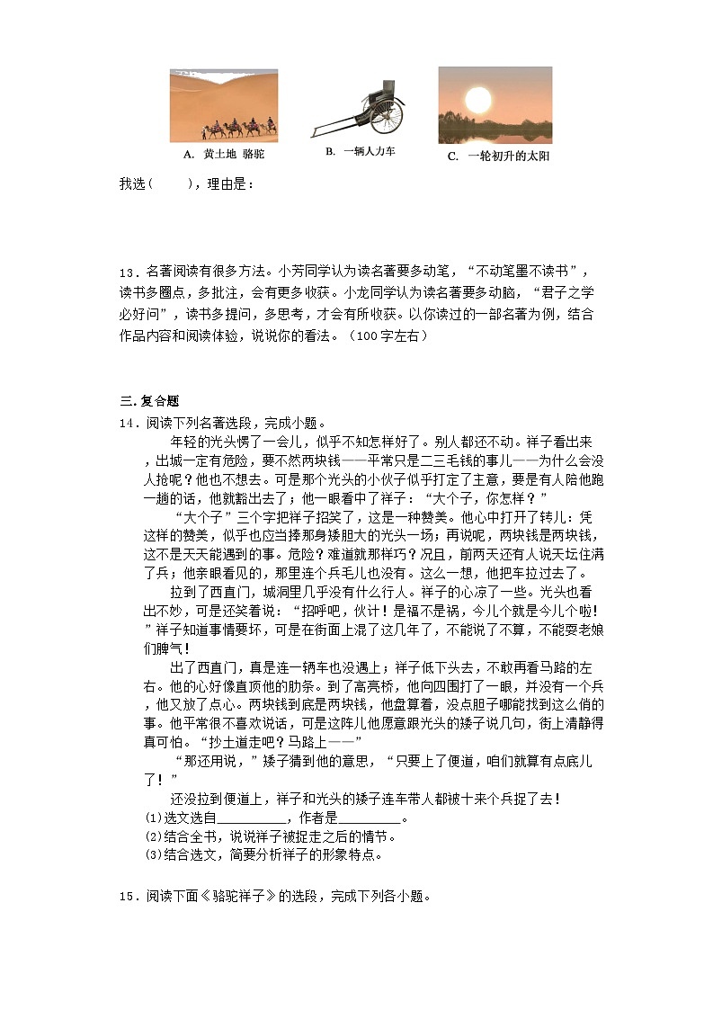 部編版語文七年級(jí)下冊(cè)  第三單元名著閱讀《駱駝祥子》綜合練習(xí)試題（無答案）第3頁
