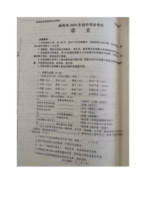 2023年山東省威海市中考語(yǔ)文真題