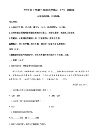 精品解析：浙江省东阳市江北初级中学等四校联考2022-2023学年九年级下学期期中语文试题