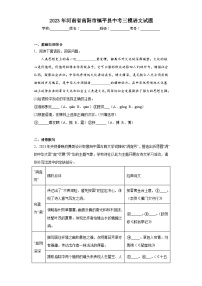 2023年河南省南陽市鎮(zhèn)平縣中考三模語文試題（含解析）