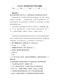 2023年广西壮族自治区中考语文真题（含解析）