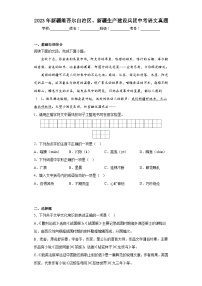 2023年新疆维吾尔自治区、新疆生产建设兵团中考语文真题（含解析）