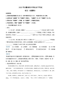 2023年安徽省中考语文真题（解析版）