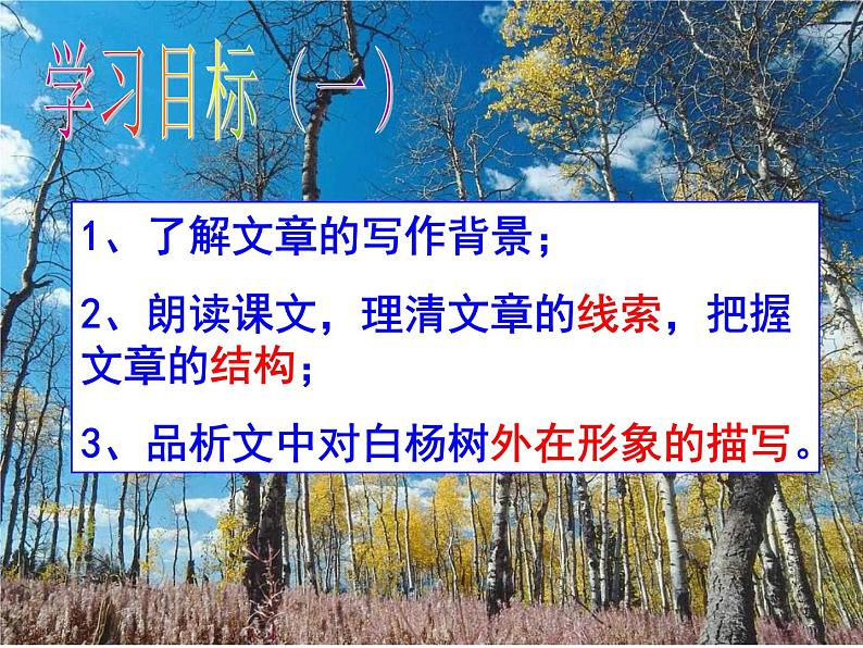 八上白杨礼赞同步课件02
