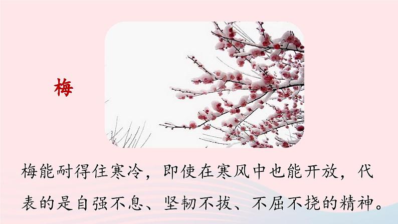 2023七年级语文下册第4单元17短文两篇第1课时课件(部编版)03