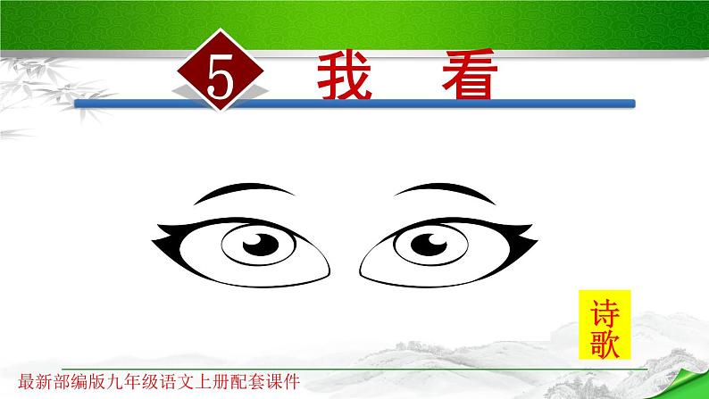 第5课《我看》PPT课件1-九年级语文上册统编版第1页