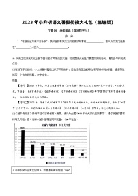 【暑假初中预备】部编版语文六年级暑假-专题04-基础知识（综合性学习）（知识梳理+预习作业）