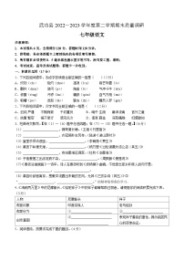 陕西省咸阳市武功县2022-2023学年七年级下学期期末语文试题（含答案）