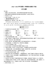 黑龙江省大庆市杜尔伯特蒙古族自治县2022-2023学年八年级下学期期末语文试题（含答案）