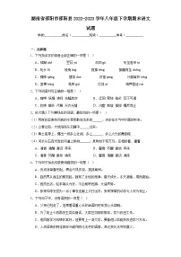 湖南省邵阳市邵阳县2022-2023学年八年级下学期期末语文试题（含答案）