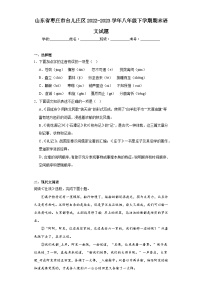 山东省枣庄市台儿庄区2022-2023学年八年级下学期期末语文试题（含答案）