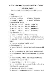 黑龙江省大庆市肇源县2022-2023学年七年级（五四学制）下学期期末语文试题（含答案）