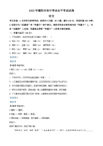 2023年湖南省衡阳市中考语文真题（含解析）
