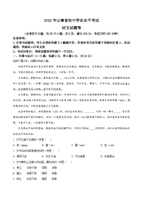 2023年云南省中考语文真题（含解析）